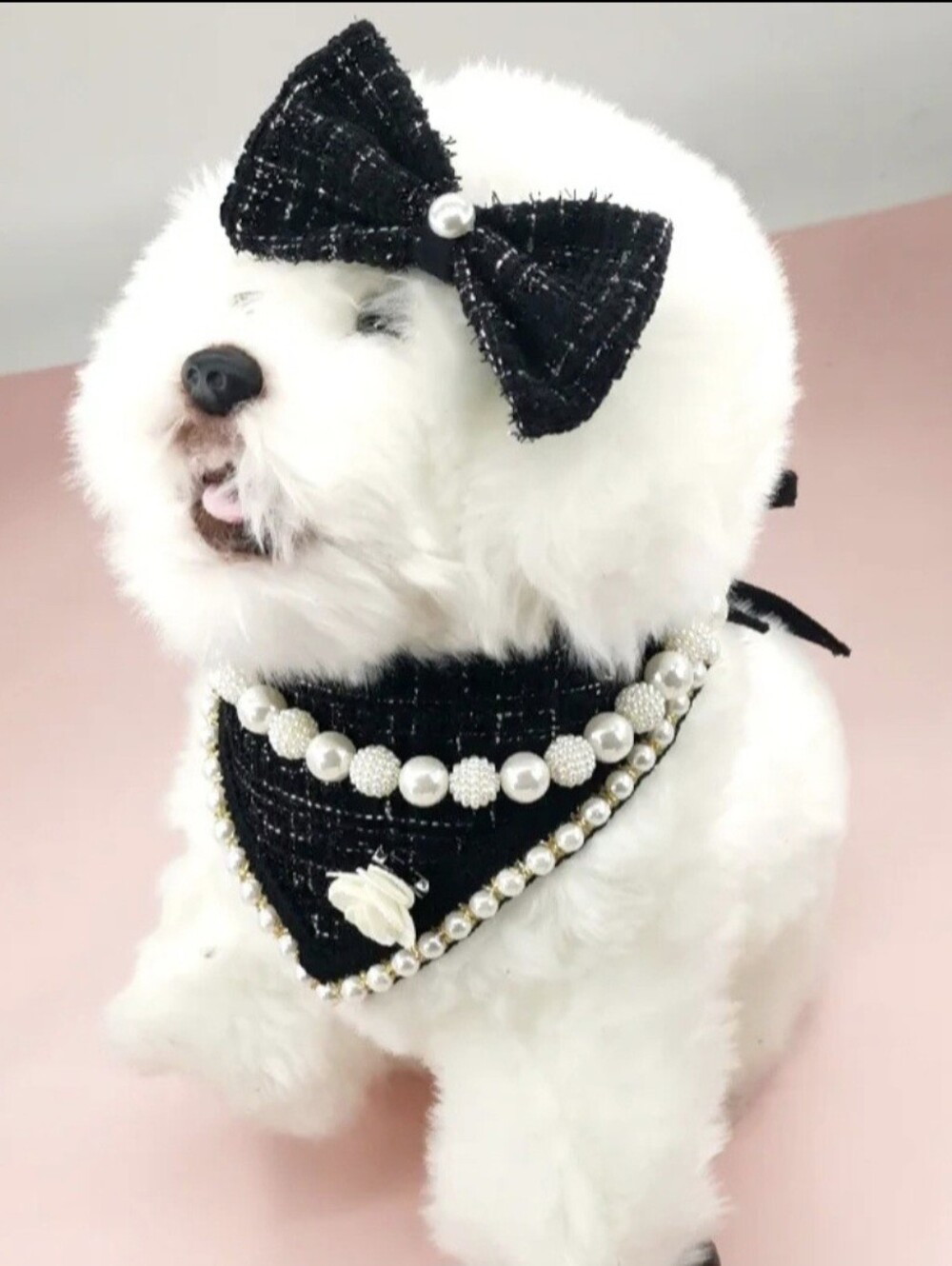 Black Plaid Dog Bib & Bow Set with Pearl Necklace Collar - SIZE S